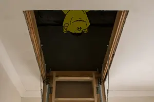 Soyjak Chinkjak attic 2.png