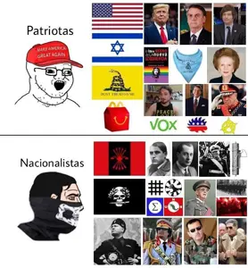patriotas vs nacionalistas.png