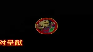 你可将此文本替换为所需的任何文.mp4