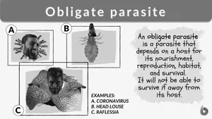 parasite gigachad.webp