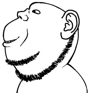 tqqt, impish soyak ears, impish side ears, sidejaks, ear, looking to the left, side view, smile, stubble, teeth