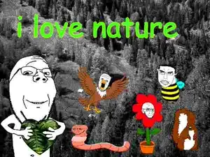 nature.png