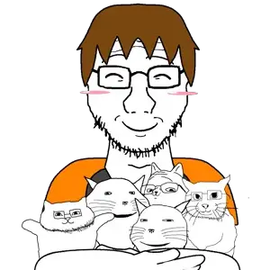 dan and cats.png