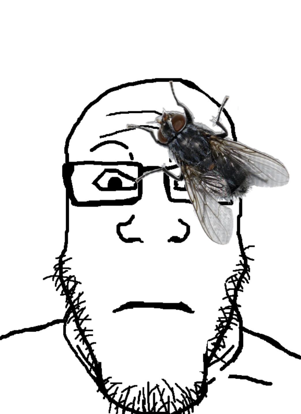 markiplier soyjak, neutralplier, animal, bug, closed mouth, eyebrows, fly, glasses, insect, irl image