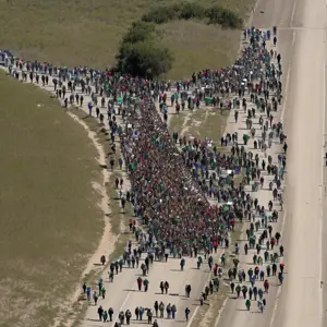 immigration merchant 2_picture.png