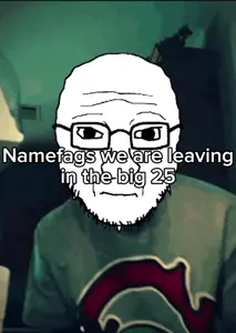 lv_0_20260101215238.mp4