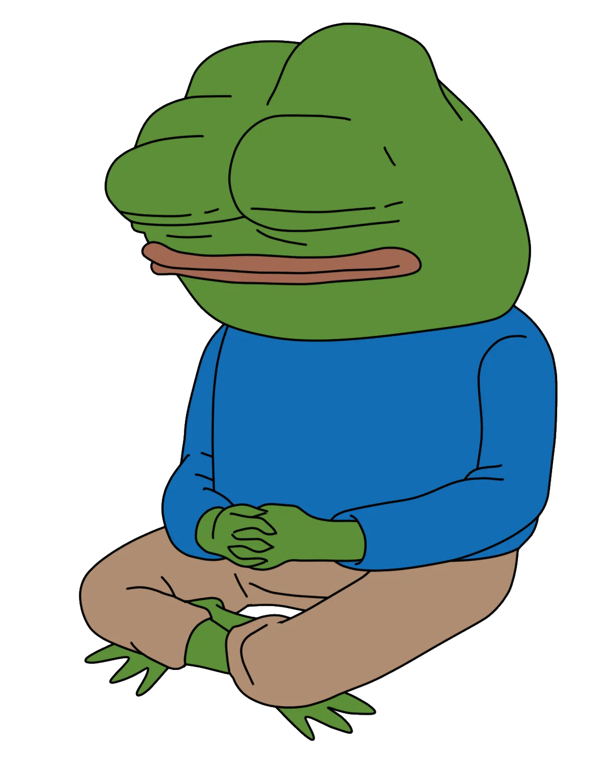 apu, pepe, amphibian, animal, blue shirt, closed eyes, closed mouth, clothes, feet, frog