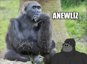 Ekran Resmi 2026-01-05 10.14.58.png