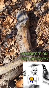 Pee on the log.mp4