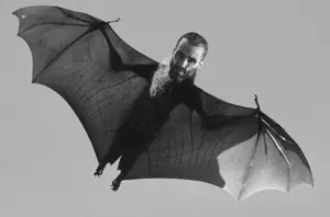 gigachad, giga animals, animal, bat, full body, gray skin, looking at you, wing