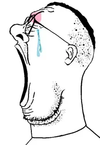 Reaction soyjak side.png