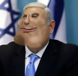 bibi.png