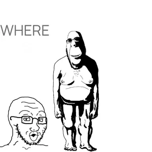 1768534389800265.mp4