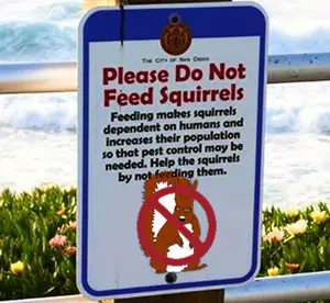 feraljak, feralsquirrel, squirreljak, animal, arm, ear, full body, glasses, hands, leg