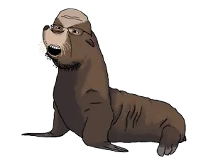 california-sea-lion.png