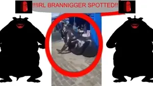 openbacc-export13-ezgif.com-video-to-mp4-converter.mp4