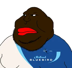 midland bluebird.png