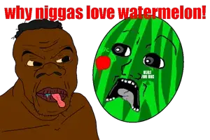 whyniggas.png