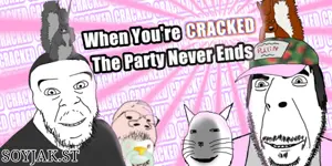 Cracked Party Soy BANNER.png