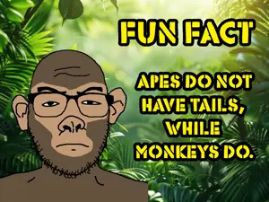 monkey facts.png