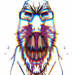 1665254897922.gif