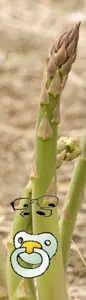 asparagus.png