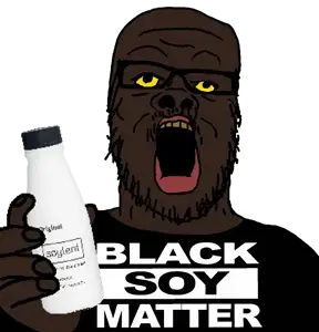 336 Sem Título_20260204221802.png