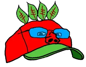 broot hat template - Copy.png