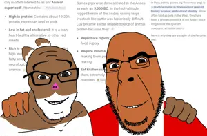 9 sin título_20260206223857.png