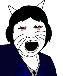 1330 sin título_20260207161606.png