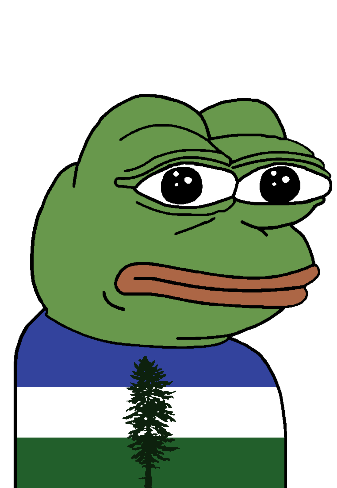 pepe, amphibian, animal, cascadia, closed mouth, clothes, flag, frog, green skin, lips