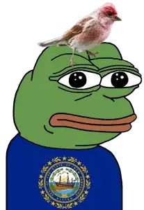 Purple Finch - New Hampshire.PNG