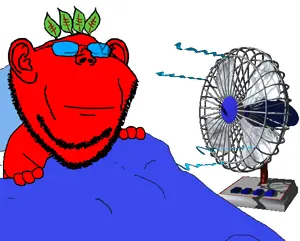 broot fan sleep - Copy.gif