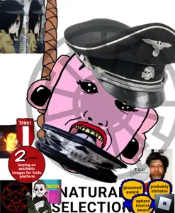 81 sin título_20260208151233.png