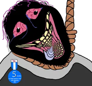 Layer 4 copy (1).png