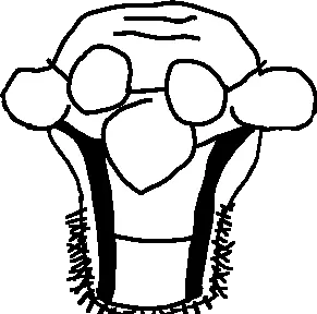 Soyjak NEO only the useful part.png