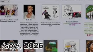 lv_0_20260212194633.mp4