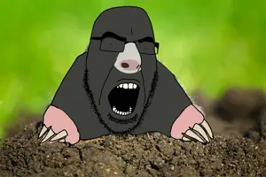Mole cobson.png