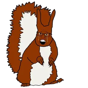 sadsquirrel.png