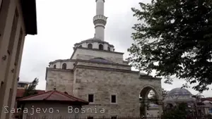 jidt1wp71jm79bpk.mp4