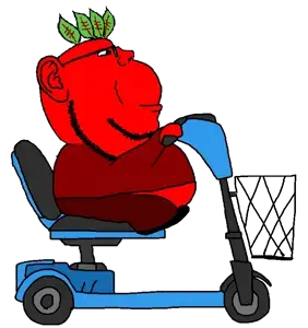 broot mobility scooter - Copy.png