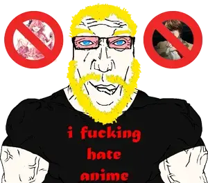 i_hate_anime.png