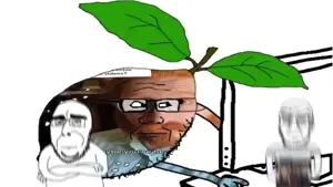 lv_0_20260218190019.mp4