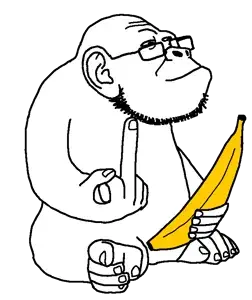 449 sin título_20260227165929.png