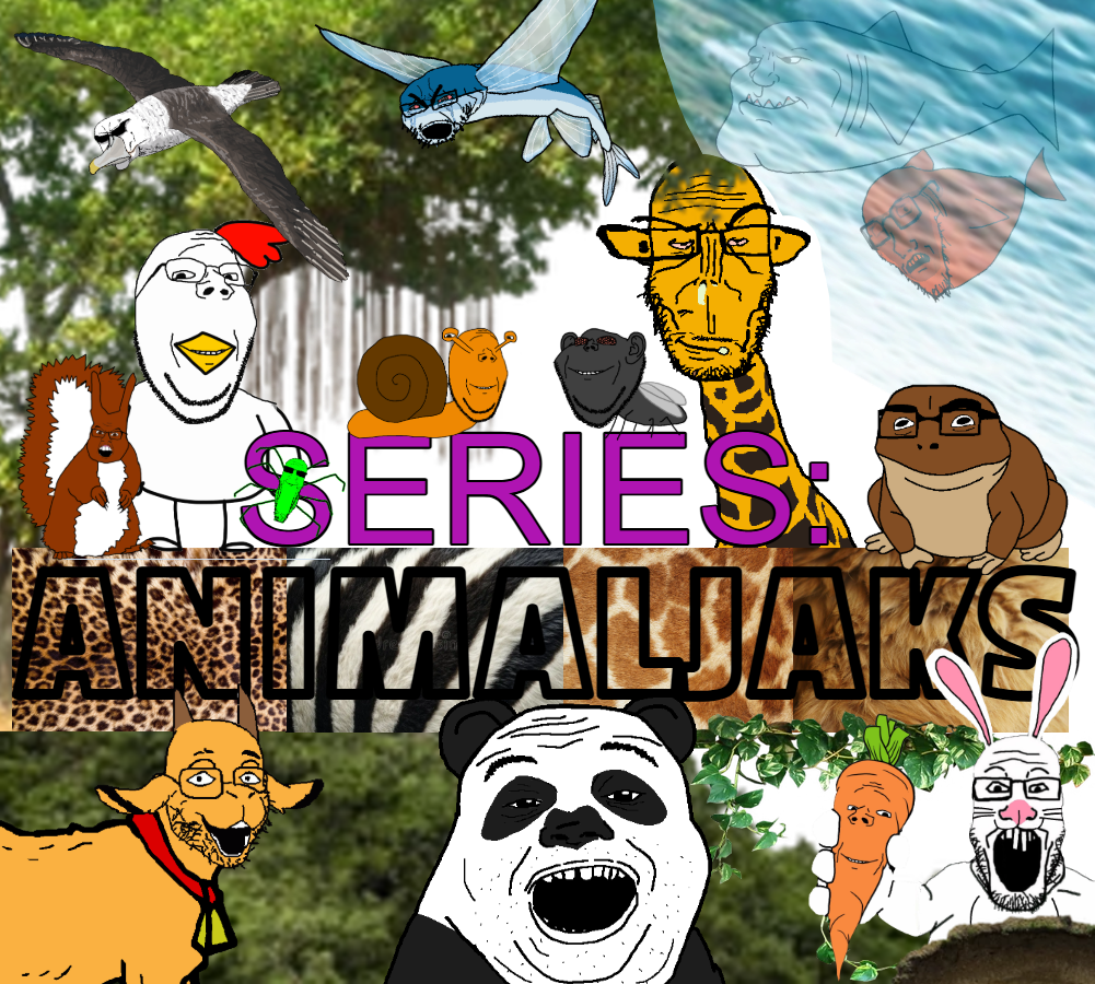 alicia, chudjak, cobson, cryboy soyjak, feraljak, gapejak, goatjak, impish soyak ears, markiplier soyjak, meximutt