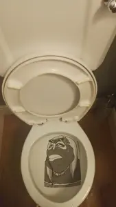 VID_20260222_234647.mp4