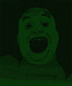 alicia, /a/, 4chan, ascii, clothes, green, matrix, open mouth, soyjak, tranny