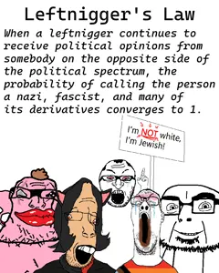 leftniggers law.png