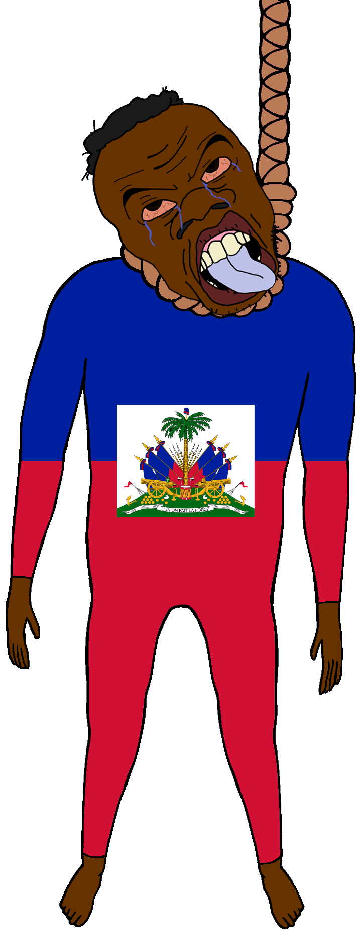 feraljak, feralnigger, ack, black skin, bloodshot eyes, flag, full body, haiti, haitian, hanging