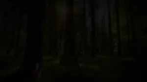 squirreljak_calm_spring.mp4